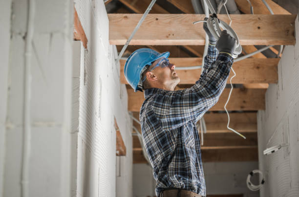 Best Electrical Wiring Services  in Palmyra, MO
