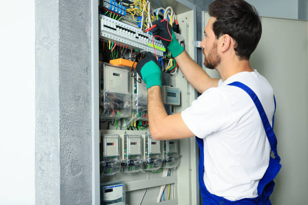 Best Emergency Electrical Repair  in Palmyra, MO